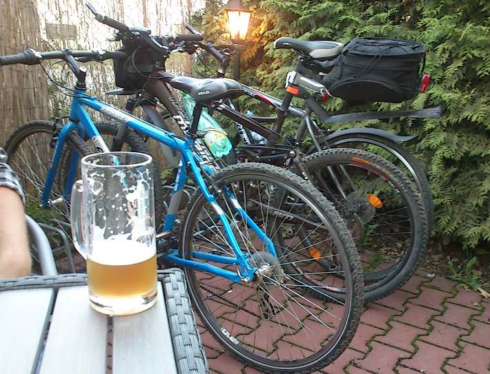 alkohol na kole řidičák